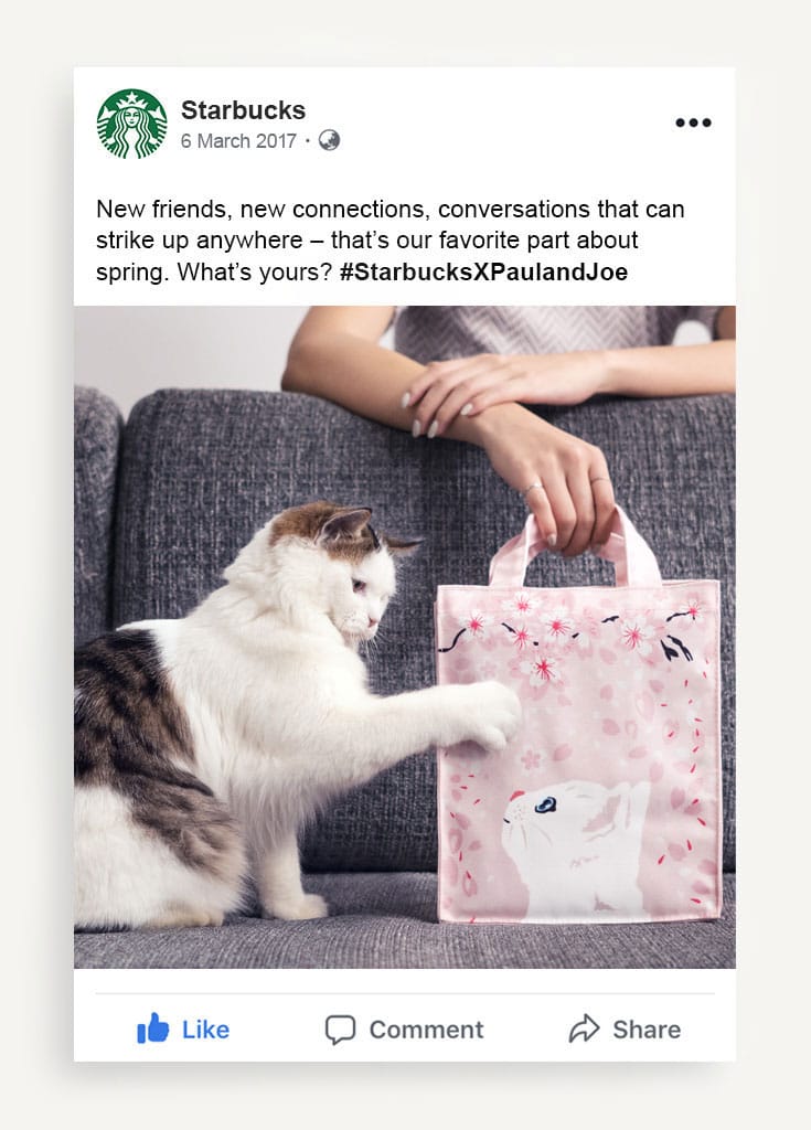 Cat touching a pink bag on the sofa