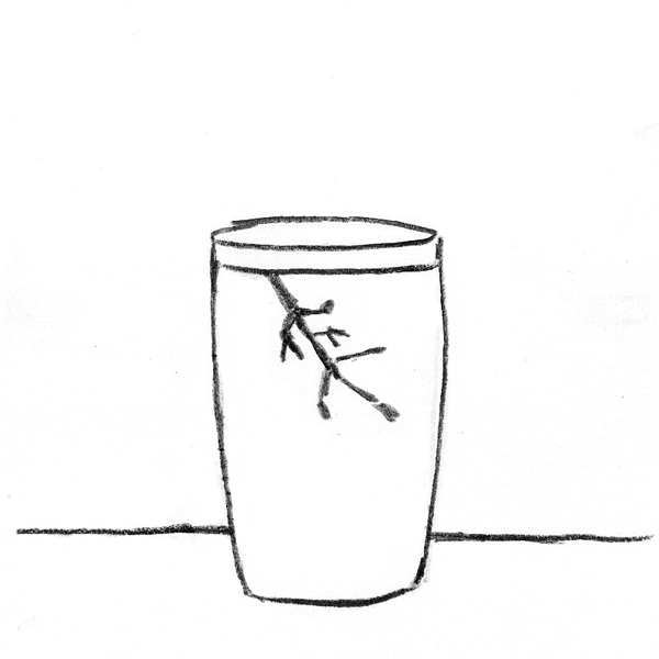 Sketch of an idea